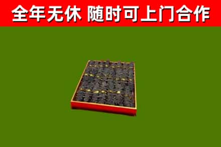铁锋区回收海参